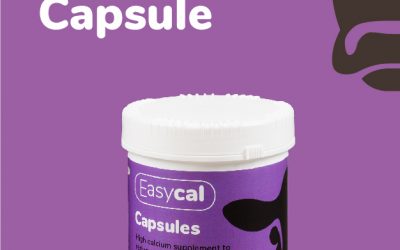 Easycal Capsules
