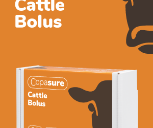 Copasure Cattle Bolus