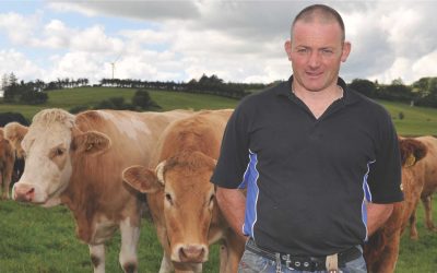 Tracesure supports nine-week calving pattern year after year