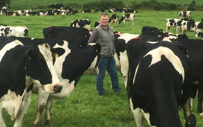 Tracesure cattle and calf boluses are a-one says Kerry milk producer