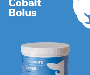 Tracesure Cobalt