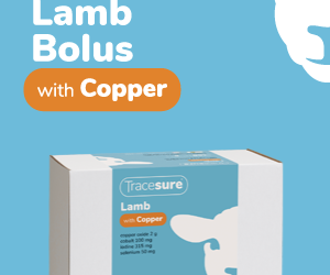 Tracesure Lamb with Copper