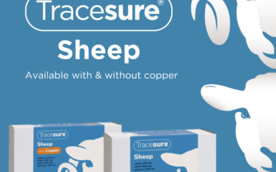 ANIMAX Tracesure® Sheep (with or without copper)