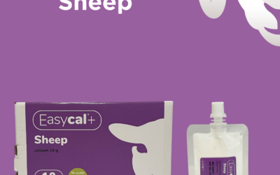 Easycal+ Sheep