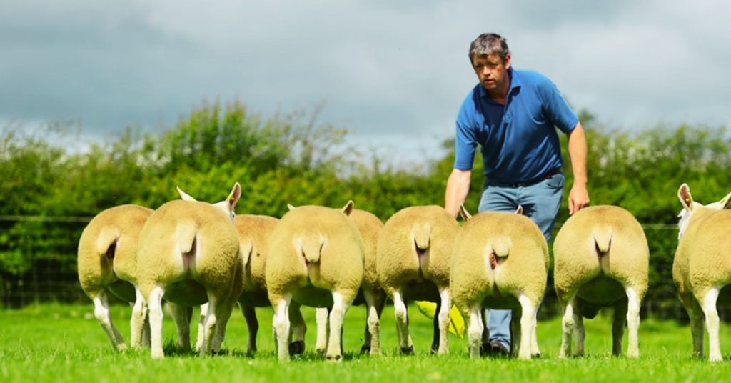 Flor Ryan - Territory Manager for West Ireland